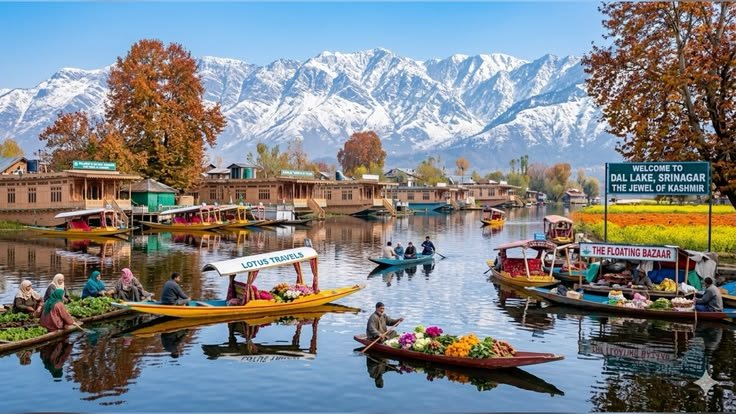 dal lake srinagar jammu and kashmir