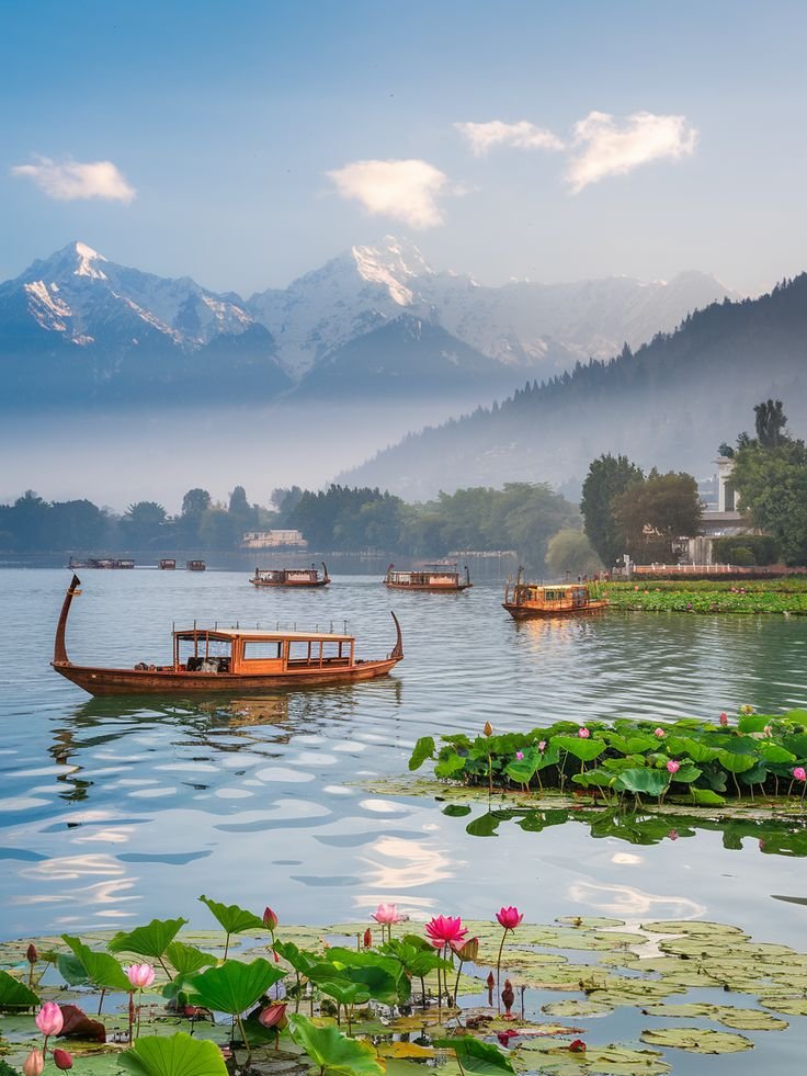 travel in asia with kids